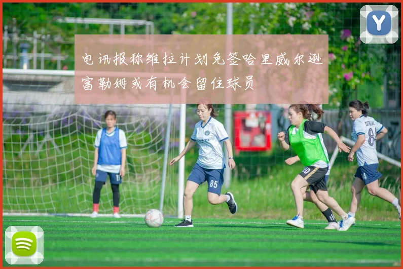电讯报称维拉计划免签哈里威尔逊富勒姆或有机会留住球员